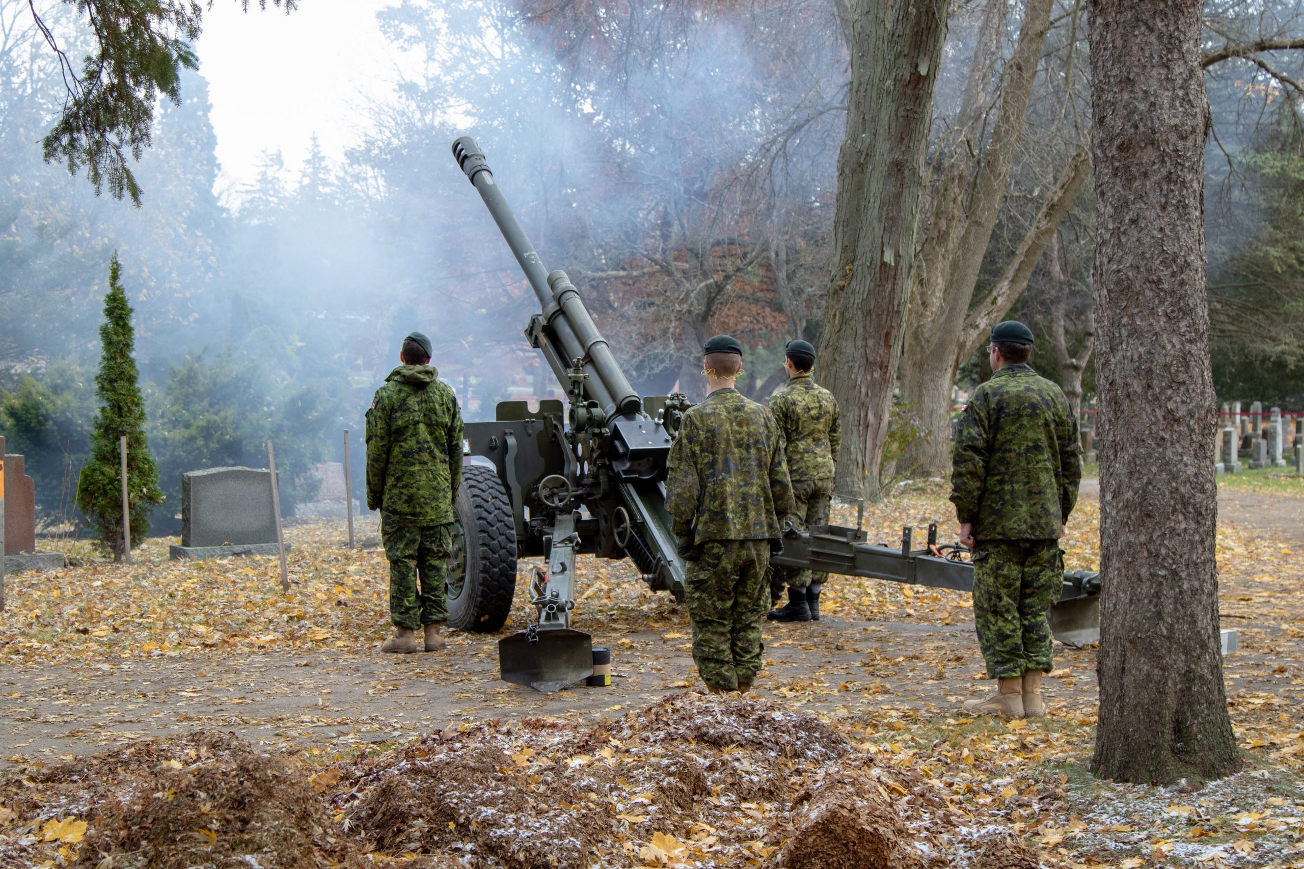 Remembrance day ceremony guelph