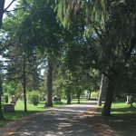 Trail in Woodlawn Memorial Park