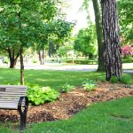 A memorial bench at Woodlawn Memorial Park in Guelph.