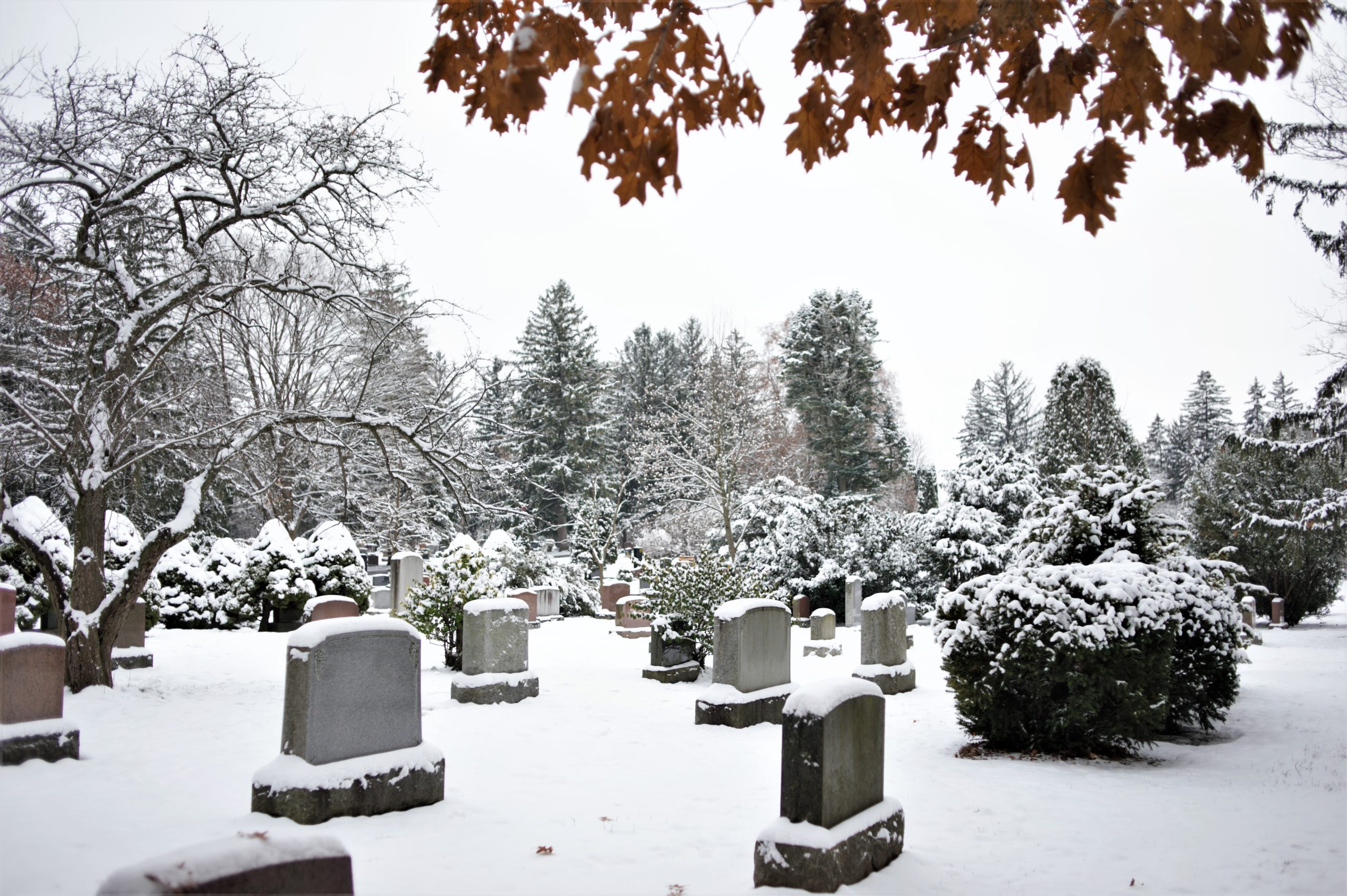 Snow on monuments.