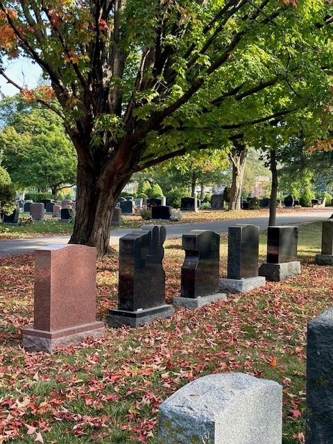 Fallen leaves around monuments at Woodlawn Memorial Park.