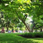 Monuments at Woodlawn Memorial Park