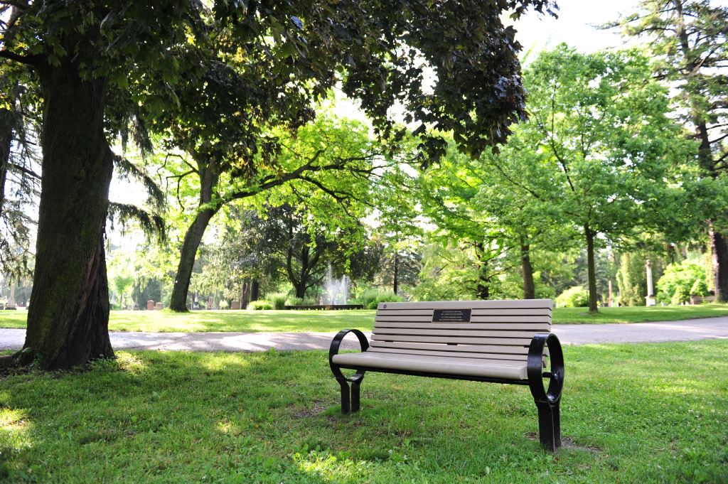 A dedication bench at Woodlawn Memorial Park