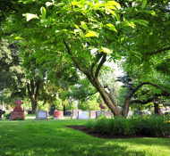 The Timeless Importance of Cemeteries