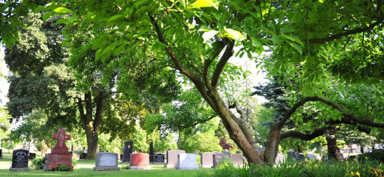 The Timeless Importance of Cemeteries